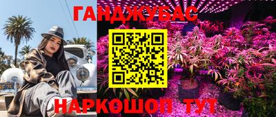 гашик Бузулук