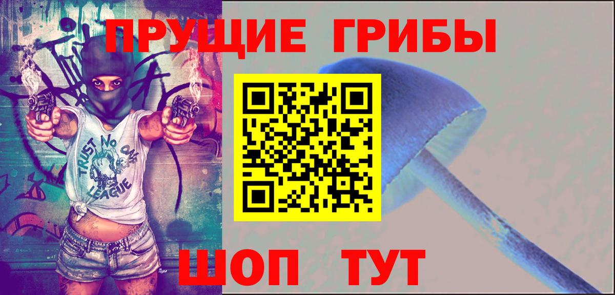Псилоцибиновые грибы Psilocybine cubensis  где найти наркотики  Саров  Вход с VPN 